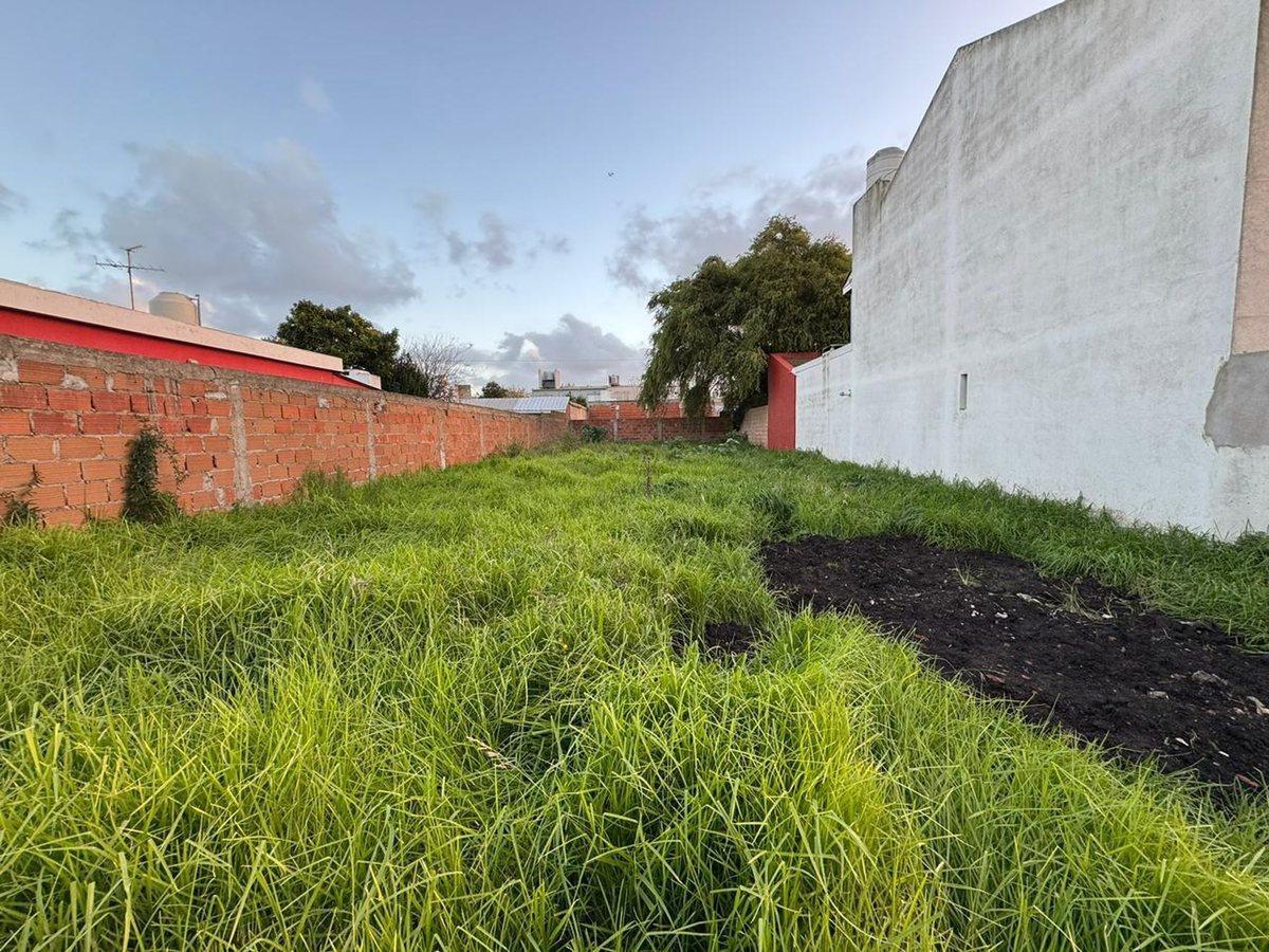 Foto de VENTA Lote Punta Mogotes, imagen 5