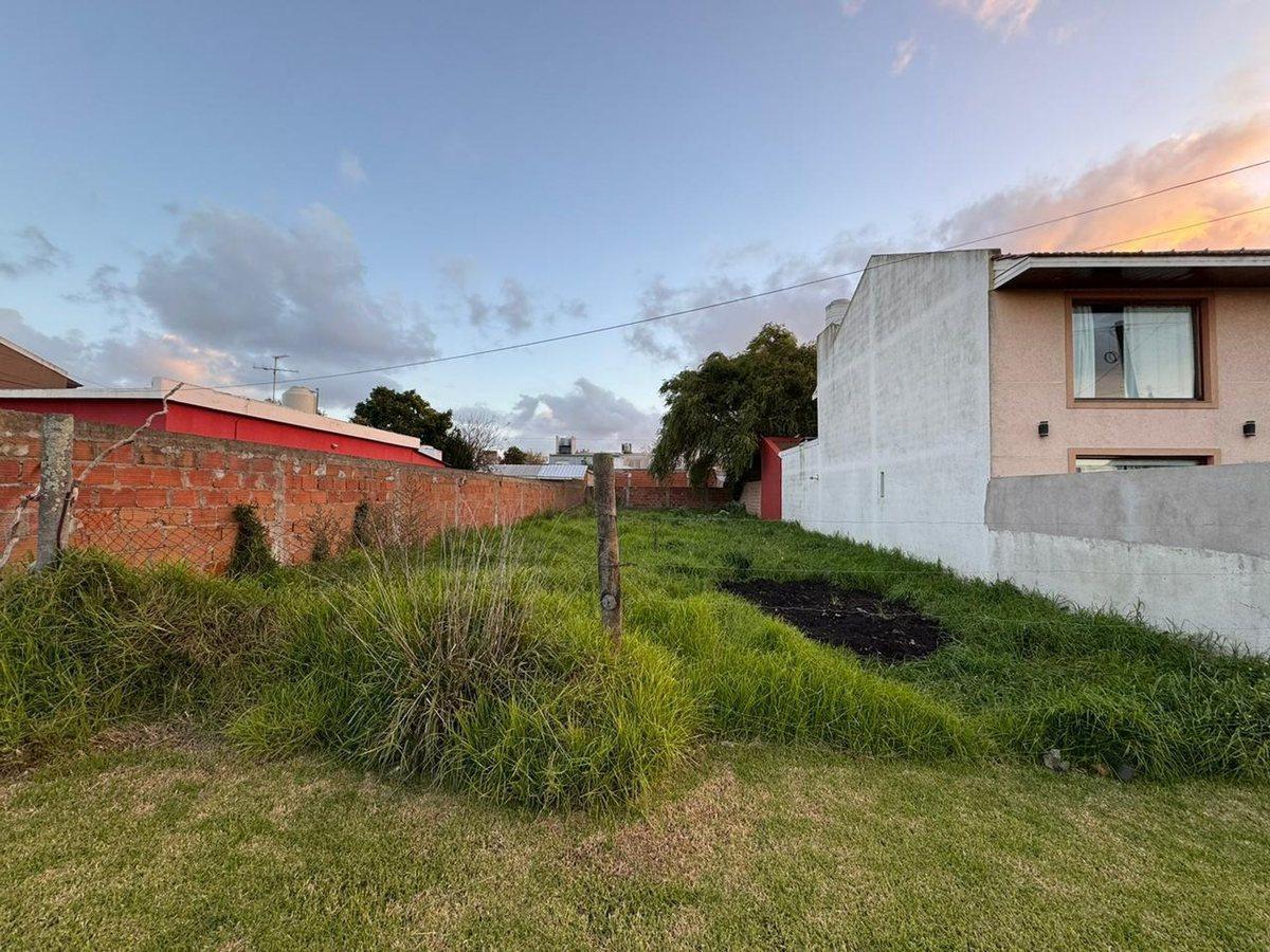 Foto de VENTA Lote Punta Mogotes, imagen 2