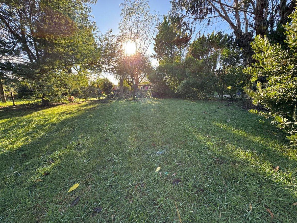 Foto de VENTA CASA 3 AMBIENTES con PARQUE DE 727 mtrs, imagen 5