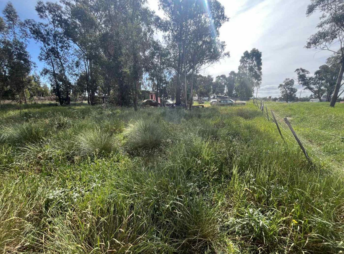 Foto de VENTA TERRENO 400METROS NECOCHEA, imagen 1