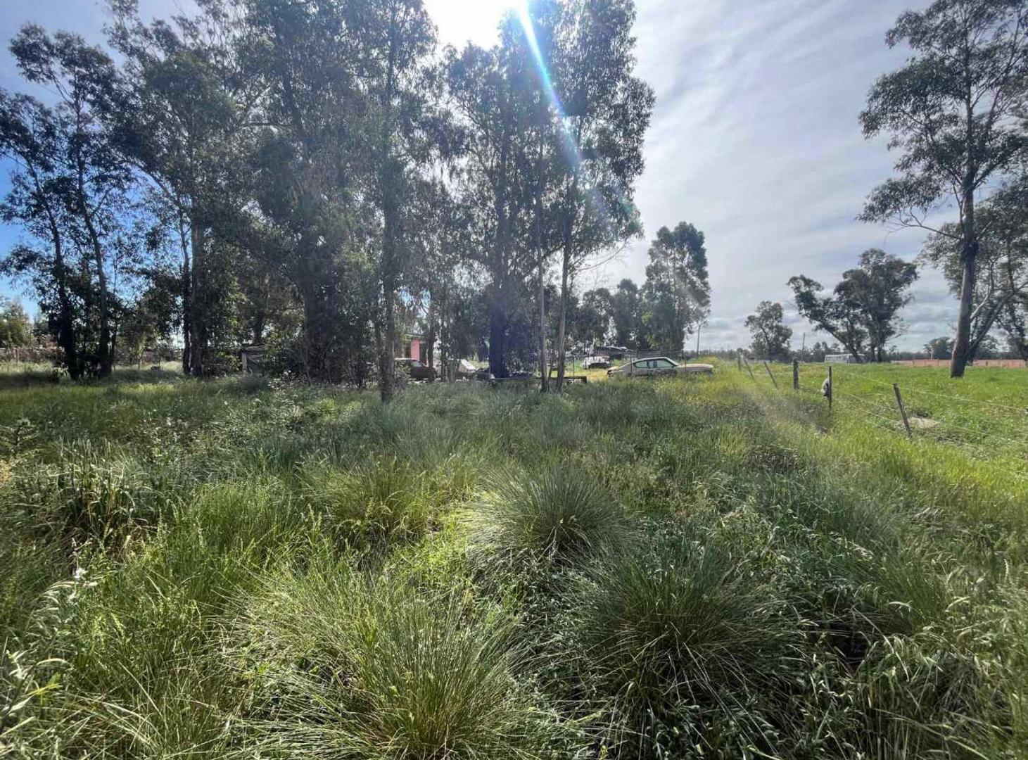Foto de VENTA LOTE 400METROS NECOCHEA, imagen 3