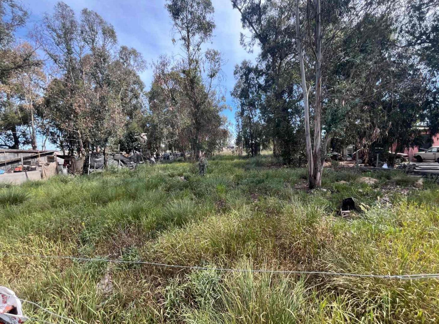 Foto de VENTA LOTE 400METROS NECOCHEA, imagen 4