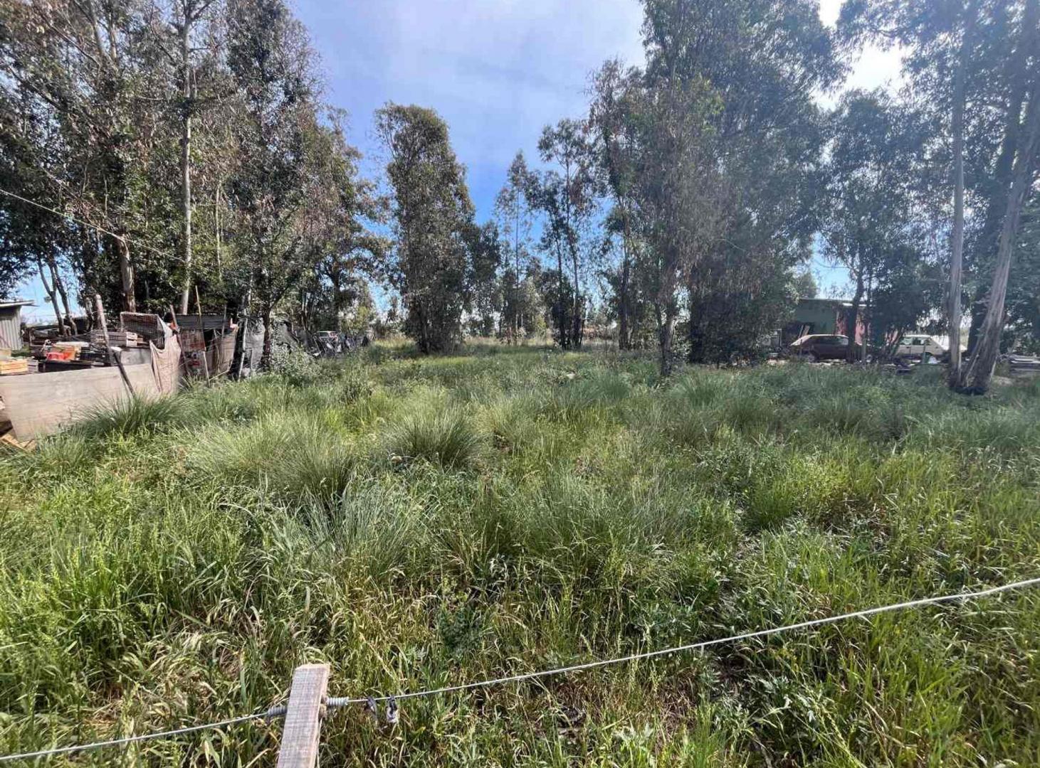 Foto de VENTA LOTE 400METROS NECOCHEA, imagen 5