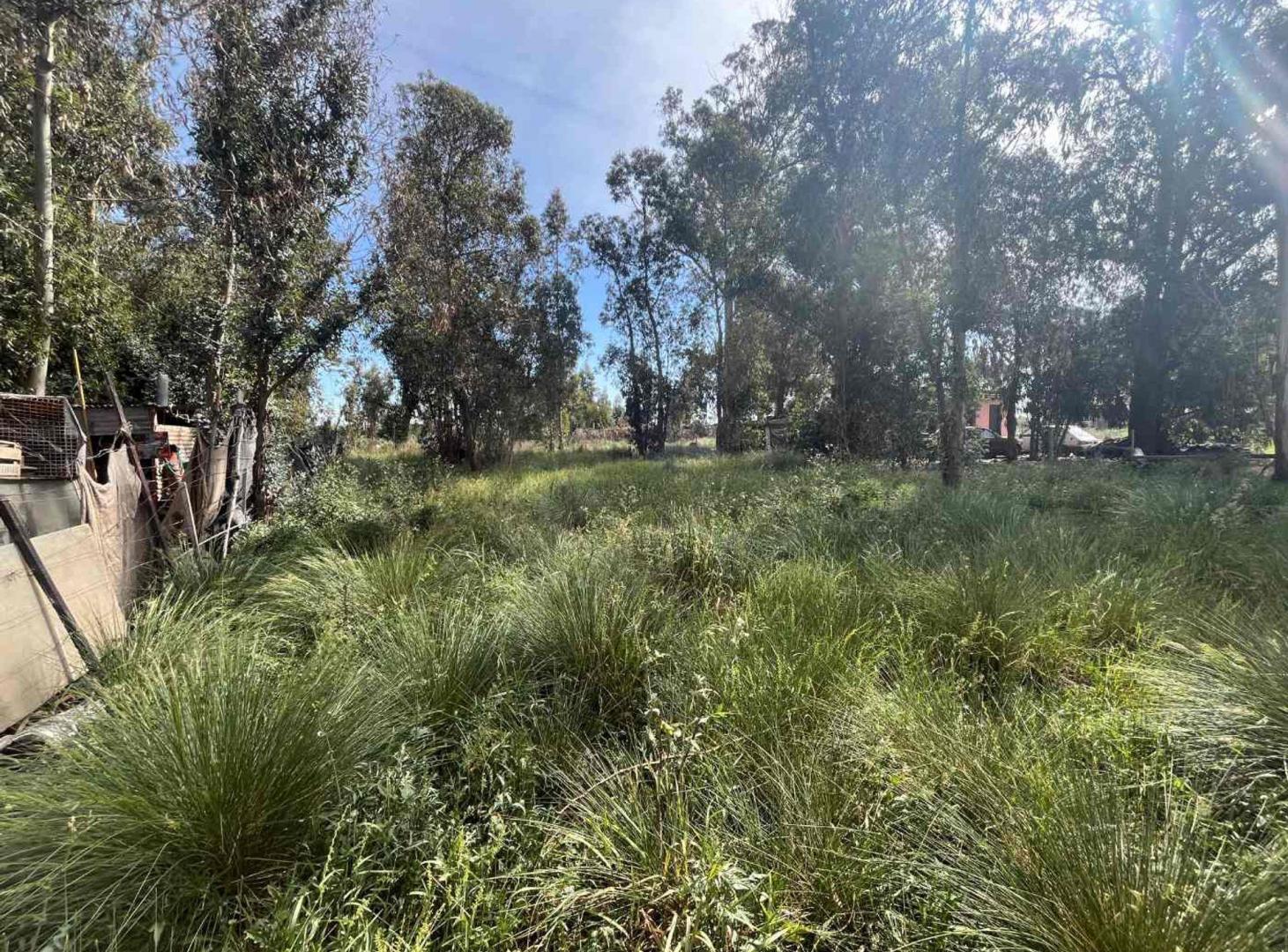 Foto de VENTA LOTE 400METROS NECOCHEA, imagen 2
