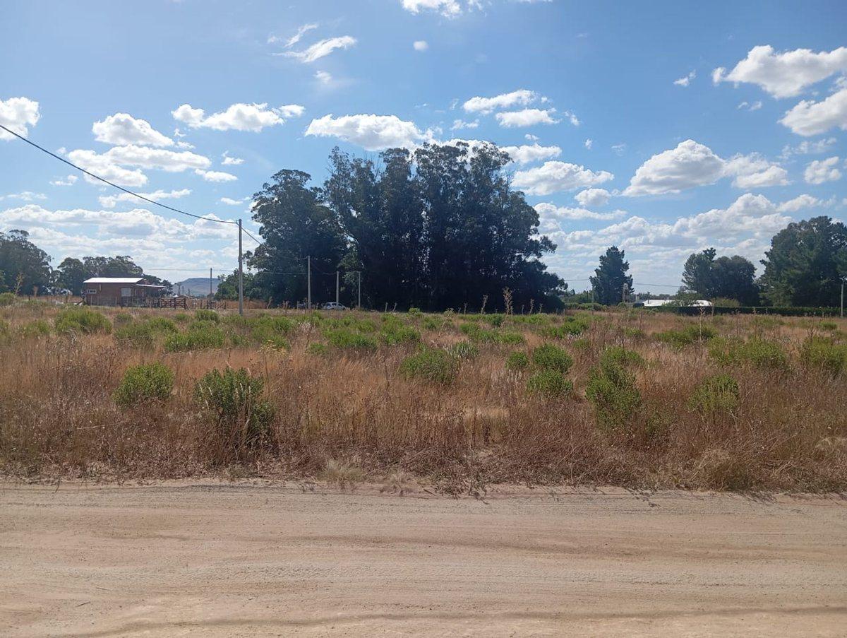 Foto de LOTE DE 1000 MTS EN BARRIO BELLA VISTA, BALCARCE, imagen 2