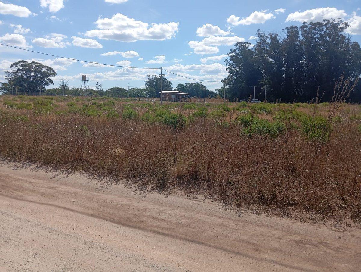 Foto de LOTE DE 1000 MTS EN BARRIO BELLA VISTA, BALCARCE, imagen 3
