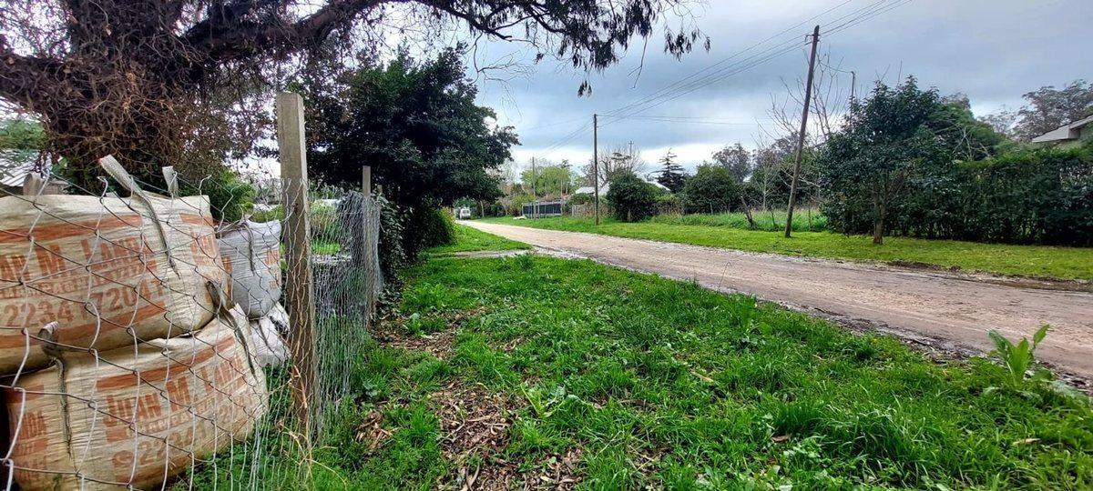 Foto de VENTA LOTE 601 MT , BARRIO LAS DALIAS, imagen 5