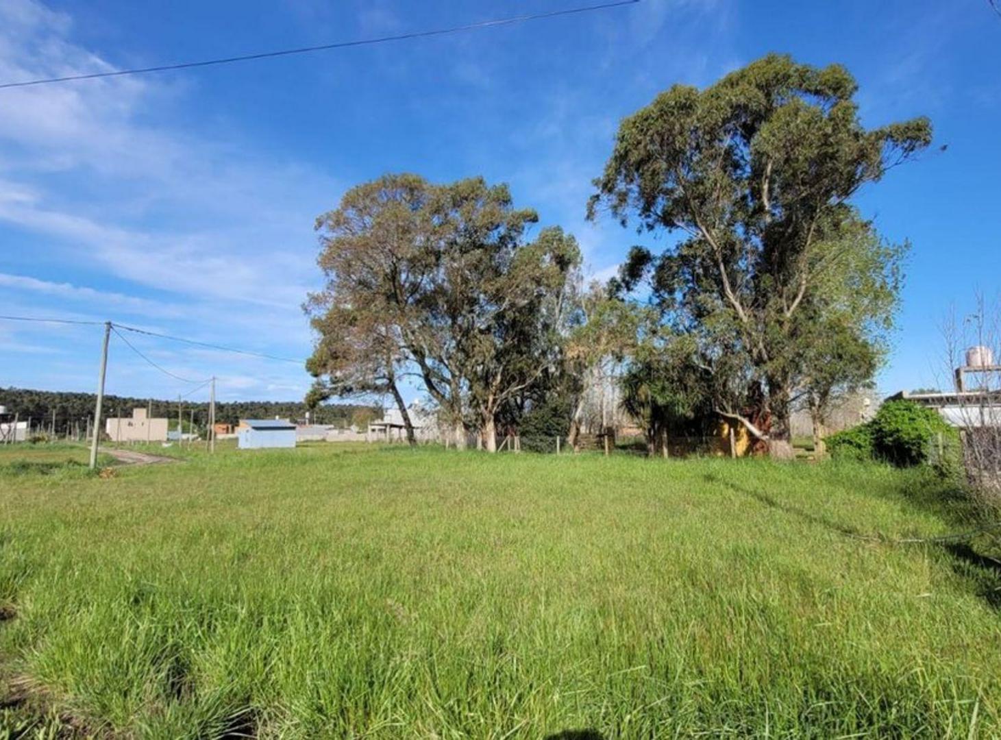 Foto de Venta terreno esquina - Camet norte, imagen 2