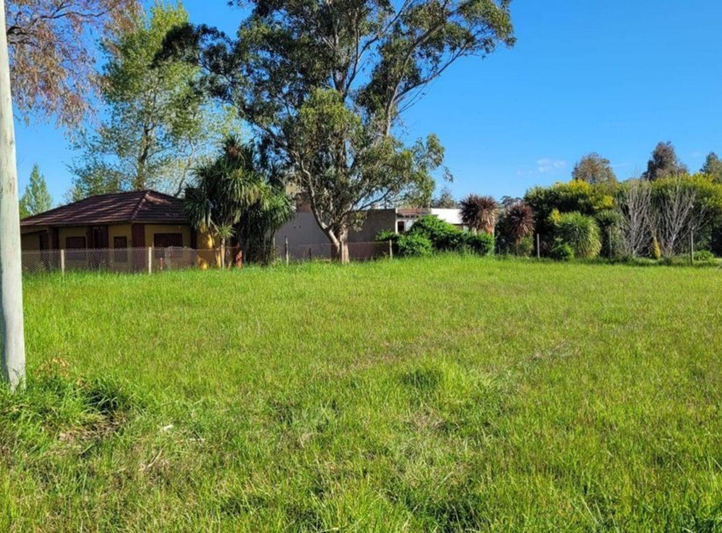 Foto de Venta terreno esquina - Camet norte, imagen 3