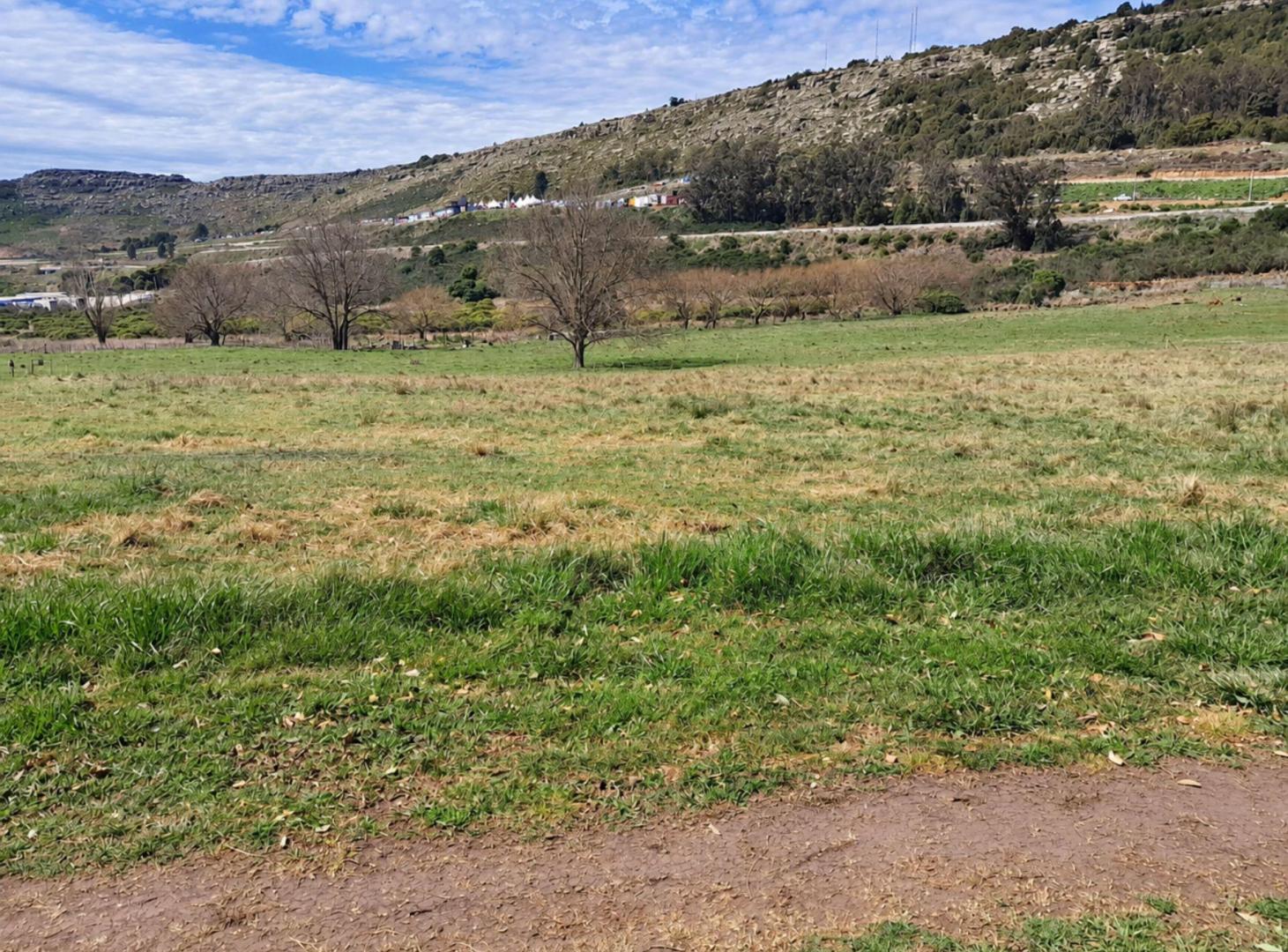 Foto de 2 LOTES EN BLOCK EN ZONA AUTODROMO, BALCARCE, imagen 5