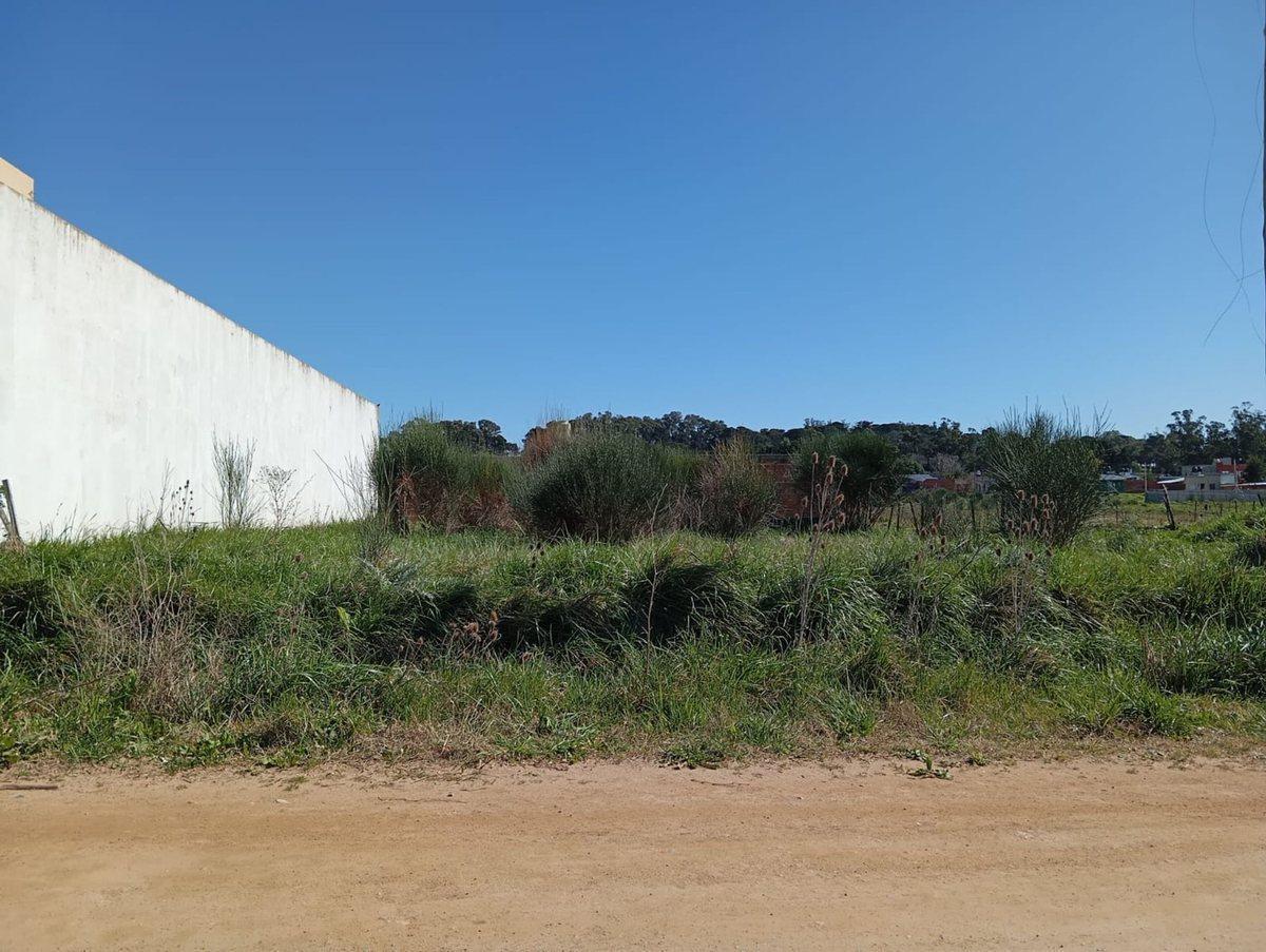 Foto de LOTE EN VENTA ZONA SIERRA LA BARROSA BALCARCE, imagen 1