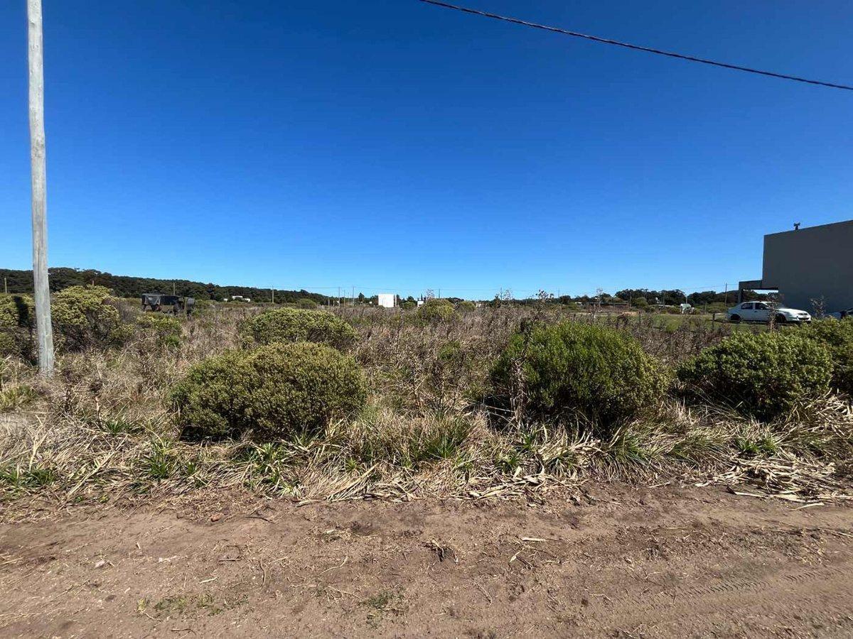 Foto de VENTA LOTE EN NECOCHEA, imagen 2