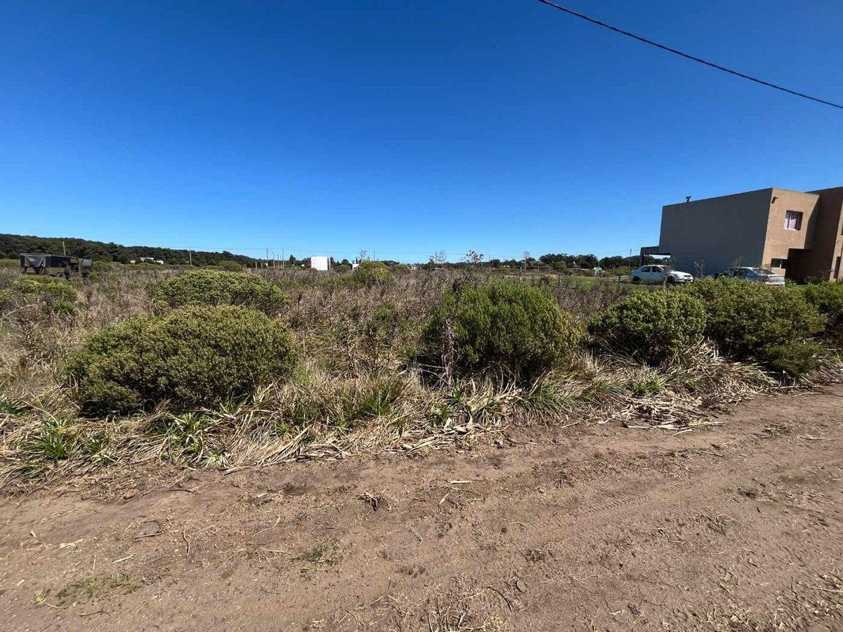 Foto de VENTA LOTE EN NECOCHEA, imagen 5