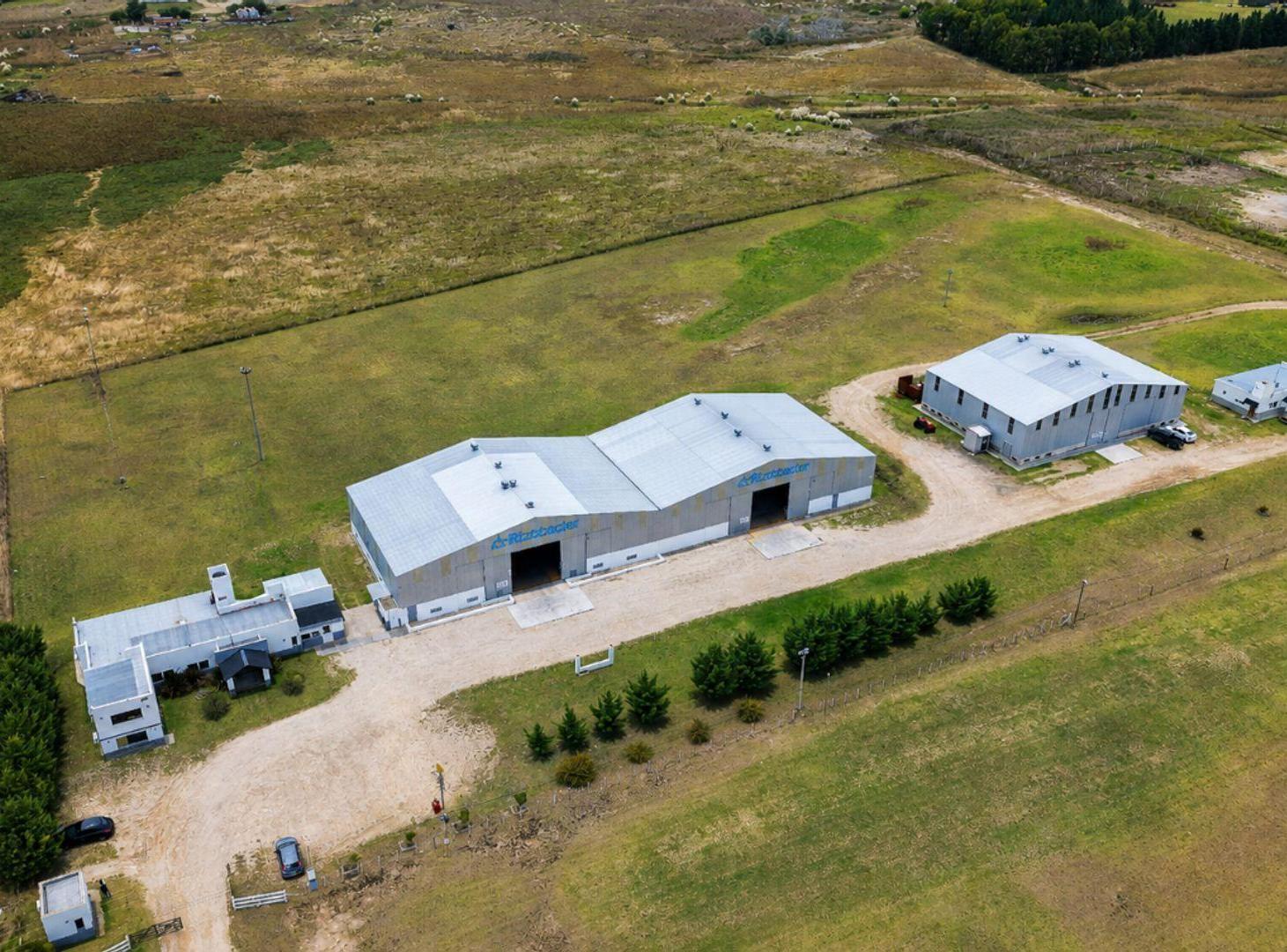 Foto de NAVES INDUSTRIALES EN VENTA EN NECOCHEA SOBRE RUTA, imagen 2
