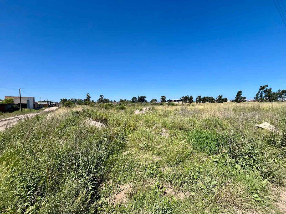 Foto de VENTA 24 LOTES NECOCHEA, imagen 2