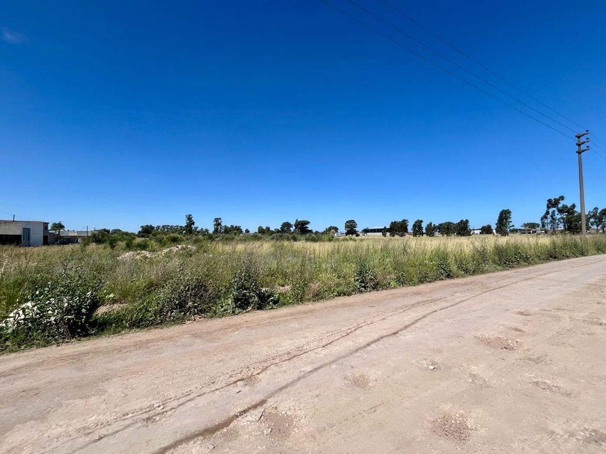 Foto de VENTA 24 LOTES NECOCHEA, imagen 5