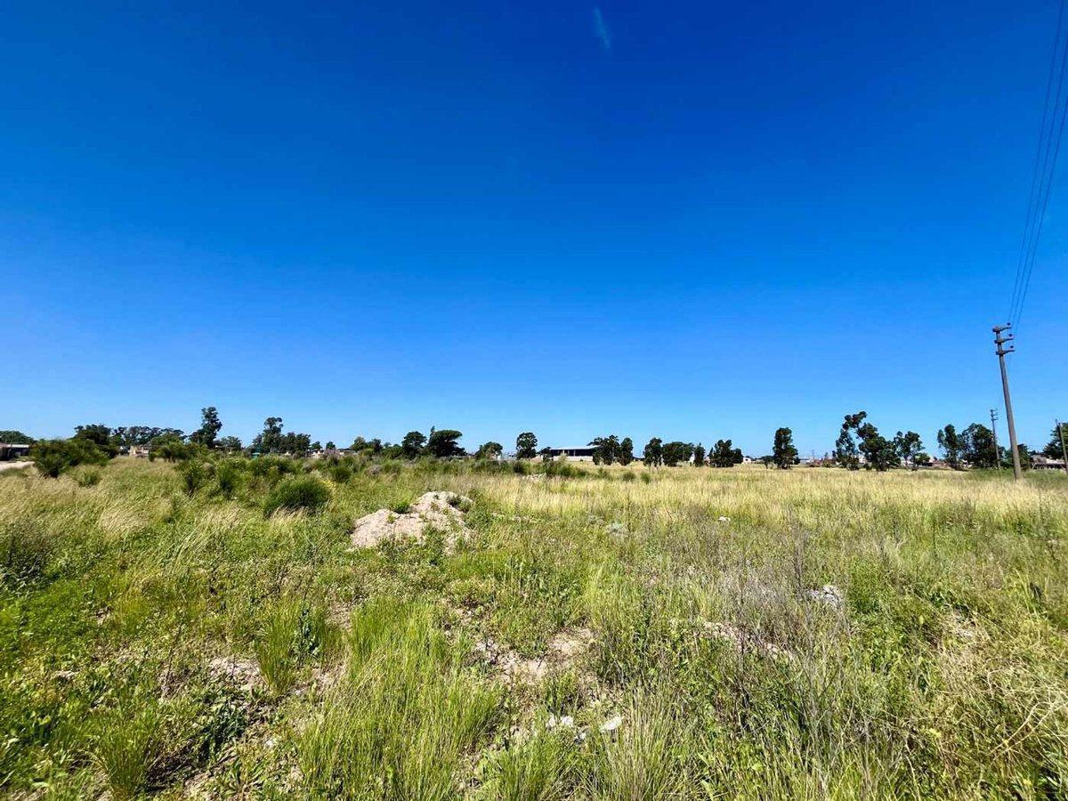 Foto de VENTA 24 LOTES NECOCHEA, imagen 3