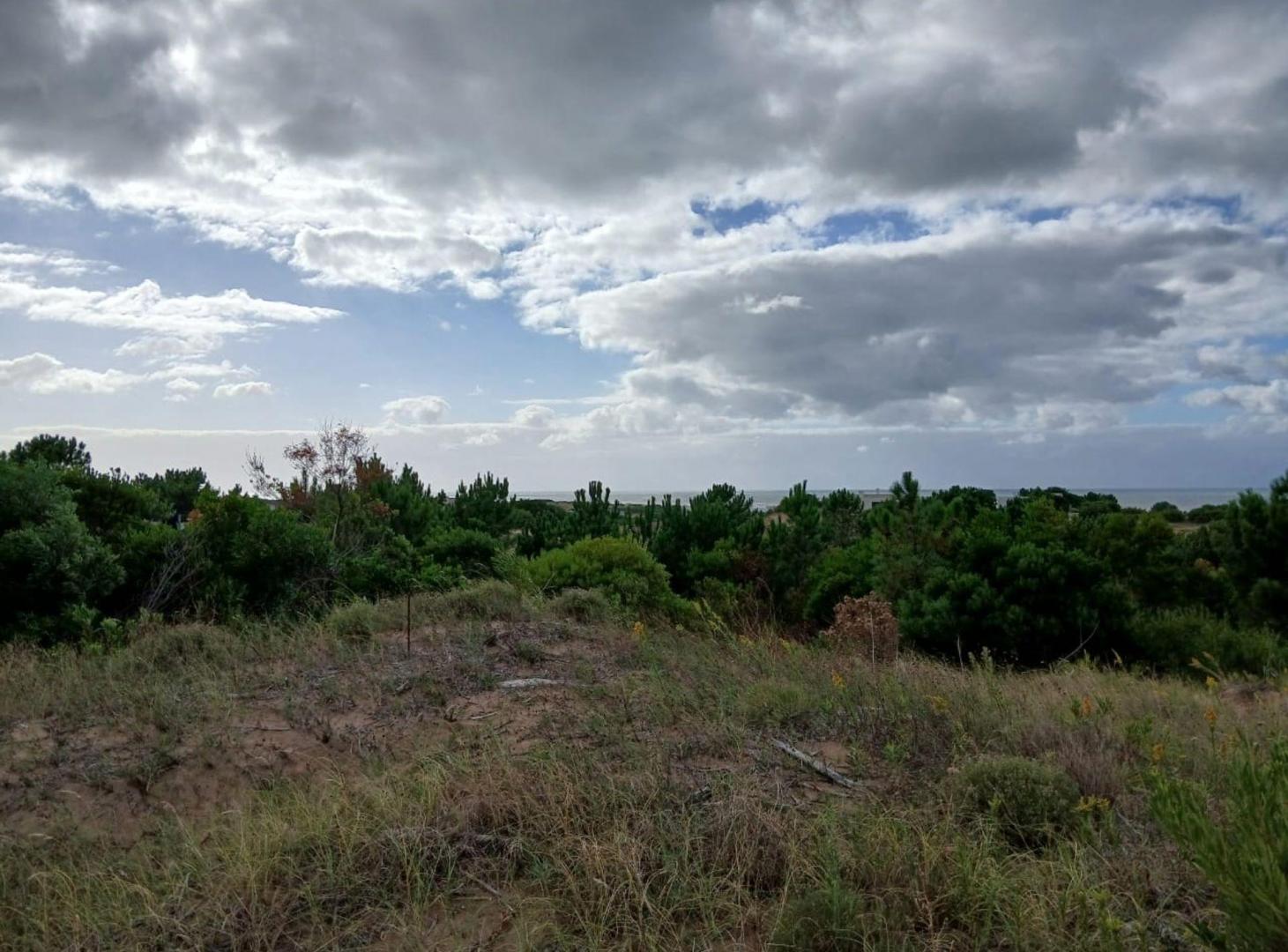 Foto de Lote en Venta 8076mts2 Bahia de los Moros Loberia, imagen 1
