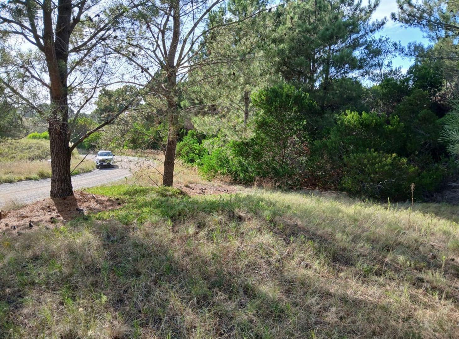 Foto de Lote en Venta 8076mts2 Bahia de los Moros Loberia, imagen 4