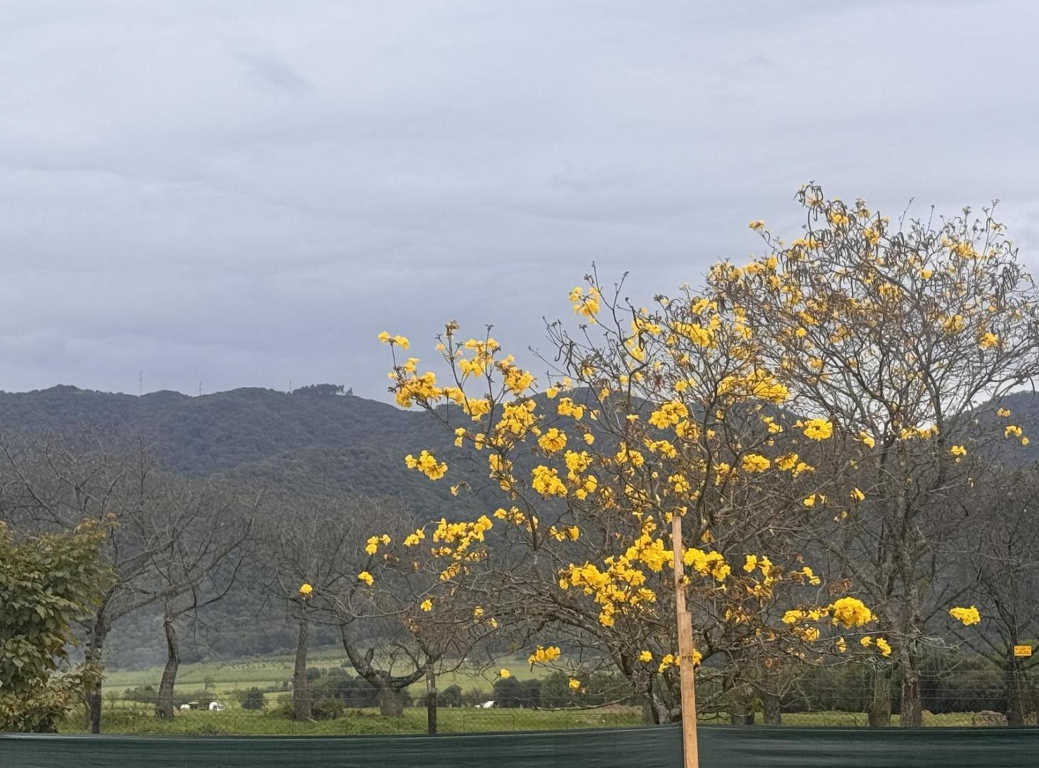Foto de Terreno en San Pablo Country, Villabella con proyecto aprobado, imagen 1