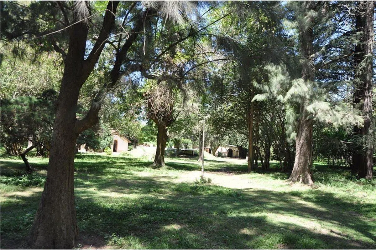 VENTA FRACCIÓN 2 Hect PILAR.,La Lonja, OPORTUNIDAD 2
