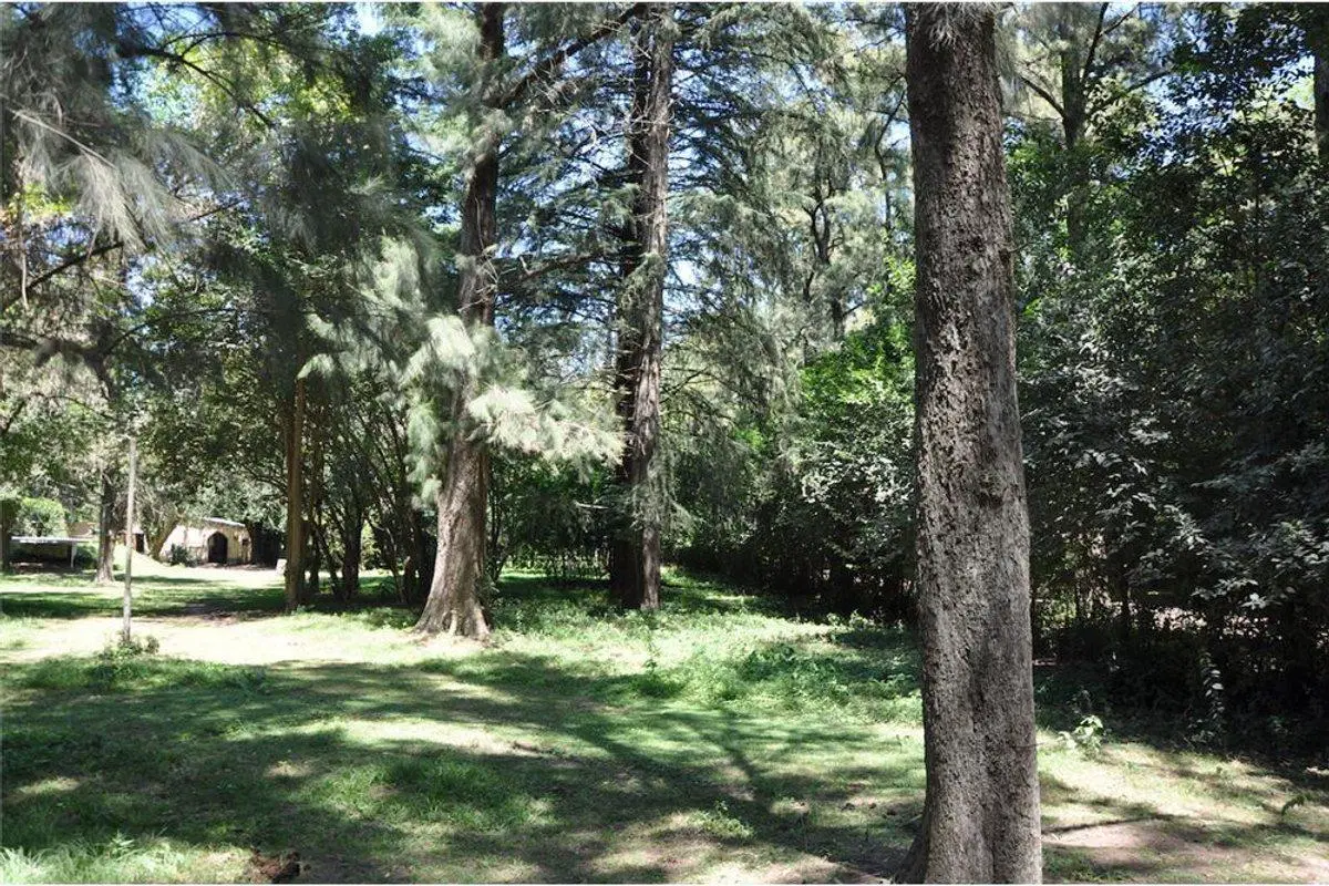 VENTA FRACCIÓN 3,4 Hect Pilar La Lonja OPORTUNIDAD 2