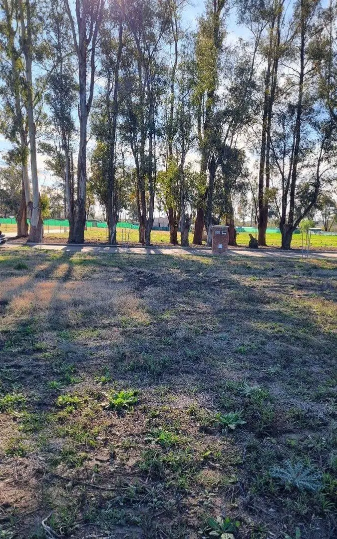 Venta Lote 341 –Santa Sofia, sobre Av. Pcipal. 2