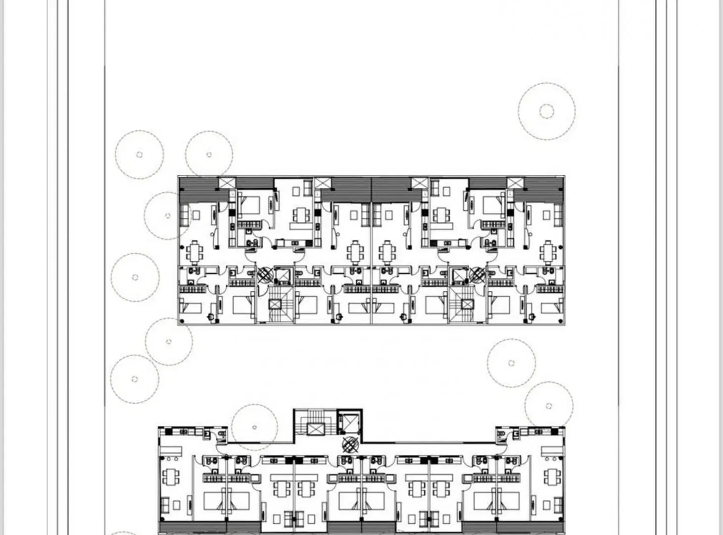 Plano 6