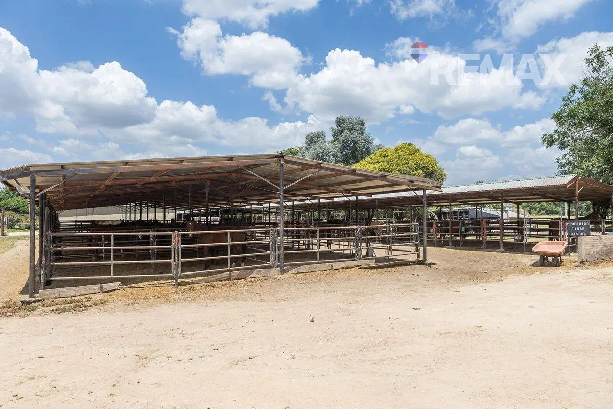 LOTE  EN VENTA C VISTA A CANCHA DE POLO-OPEN DOOR 2