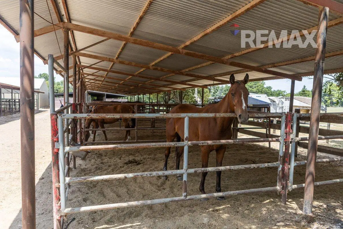 LA CAÑADA POLO CLUB- VENTA-OPEN DOOR 2