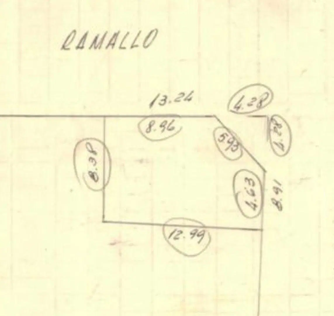 Plano 5