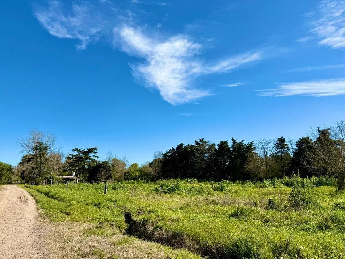LOTE RUTA N°8 KM 95, SAN ANDRÉS DE GILES 4