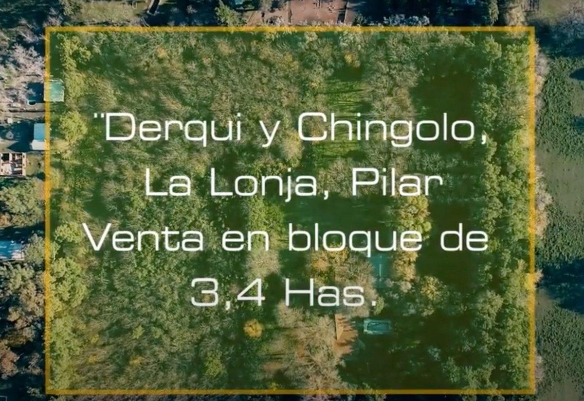 VENTA FRACCIÓN 3,4 Hect Pilar La Lonja OPORTUNIDAD