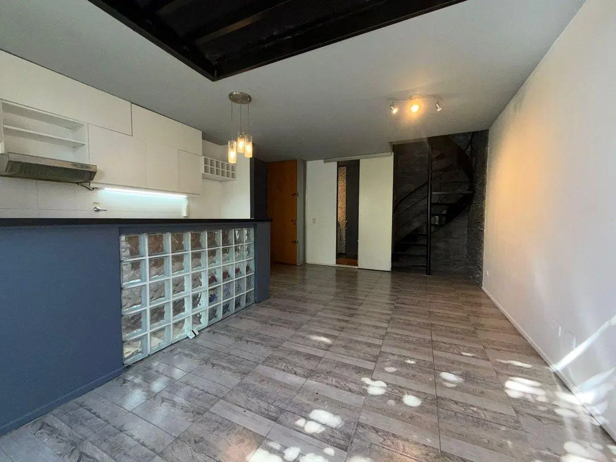 VENTA DEPTO DUPLEX 2 AMB COCHERA SAN ISIDRO 3