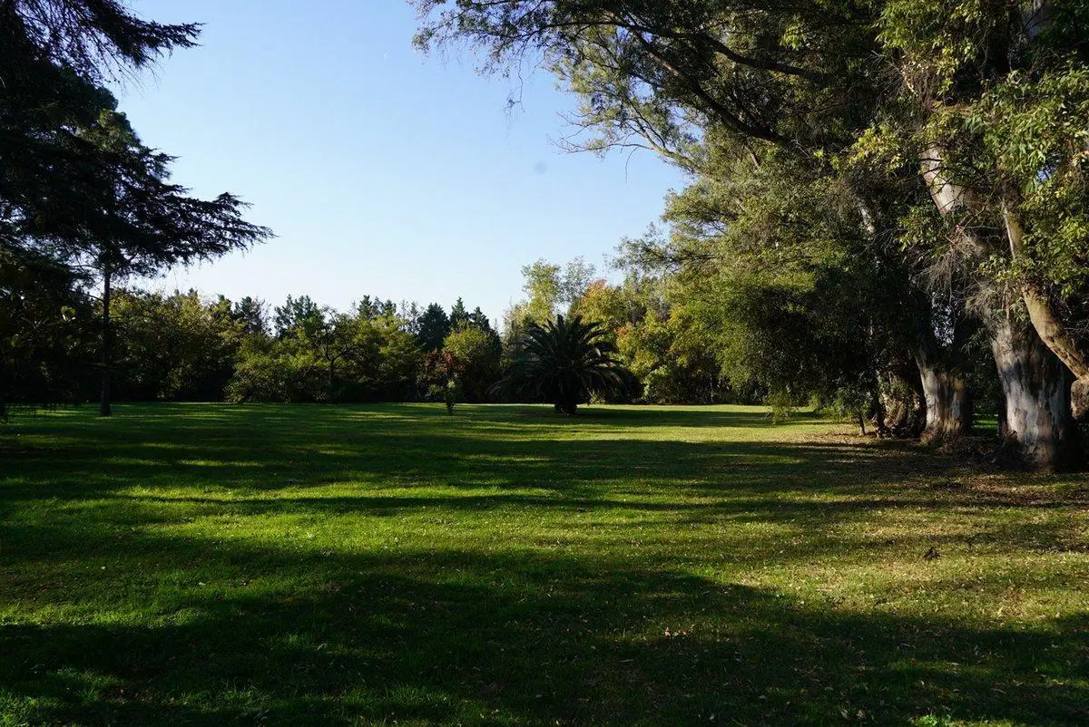 Campo venta 8 ha Exaltación de la cruz Oportunidad 5
