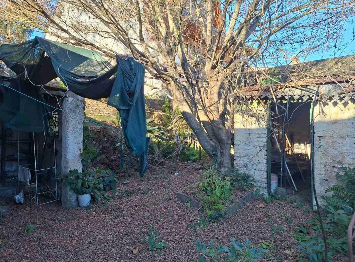 Casa en venta a reciclar en La Lucila 8