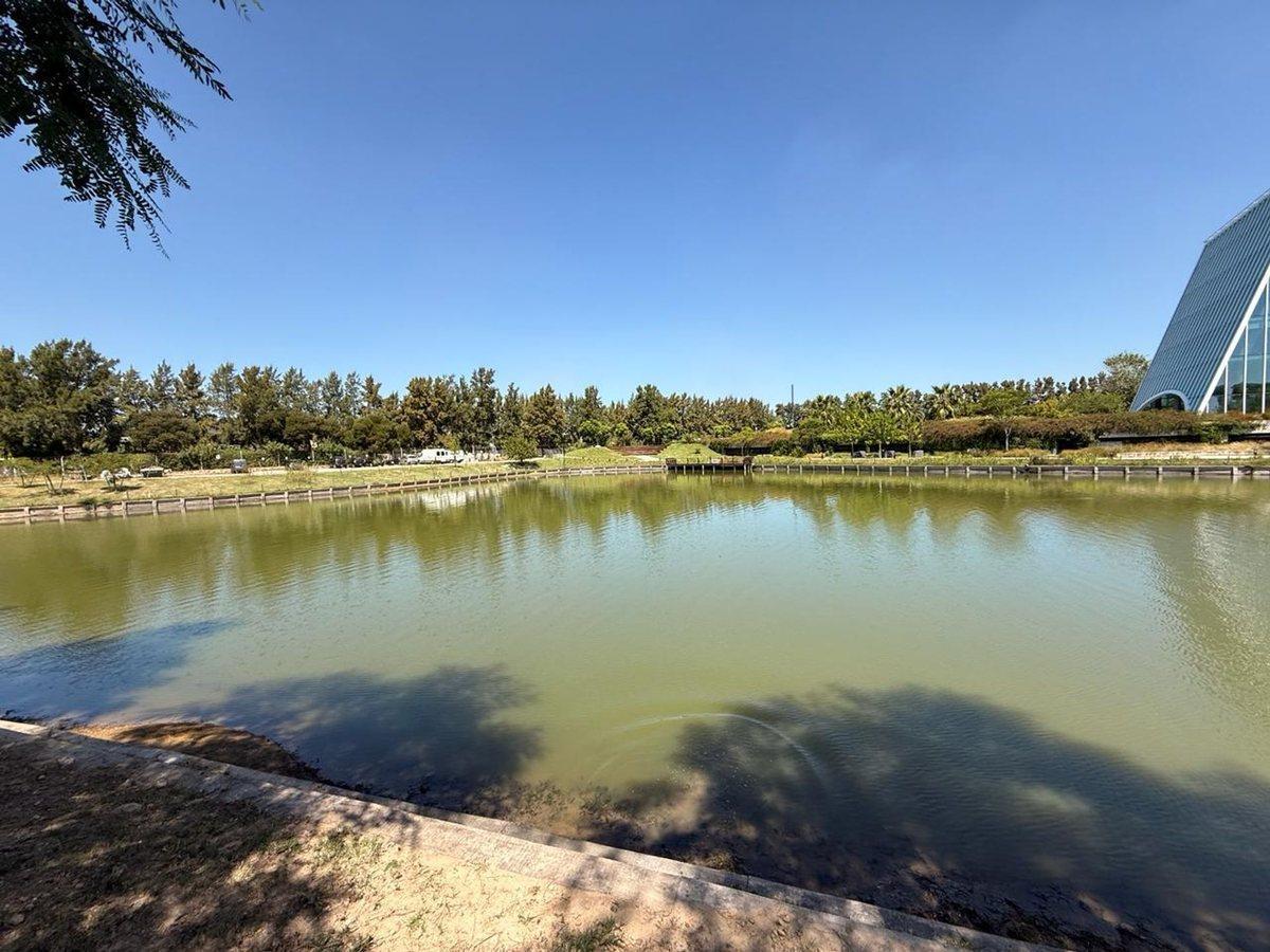 Foto de VENTA LOTE EN BARRIO SILVESTRE NORDELTA, imagen 5