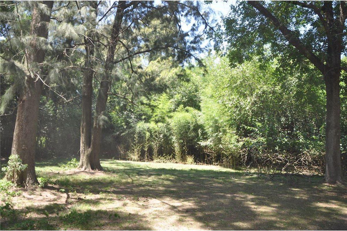 Foto de VENTA FRACCIÓN 2 Hect PILAR.,La Lonja, OPORTUNIDAD, imagen 3