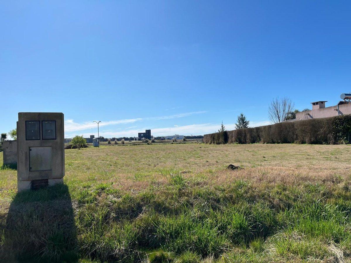 Foto de Venta Lote en La Faustina Club de Campo – Brandsen, imagen 2