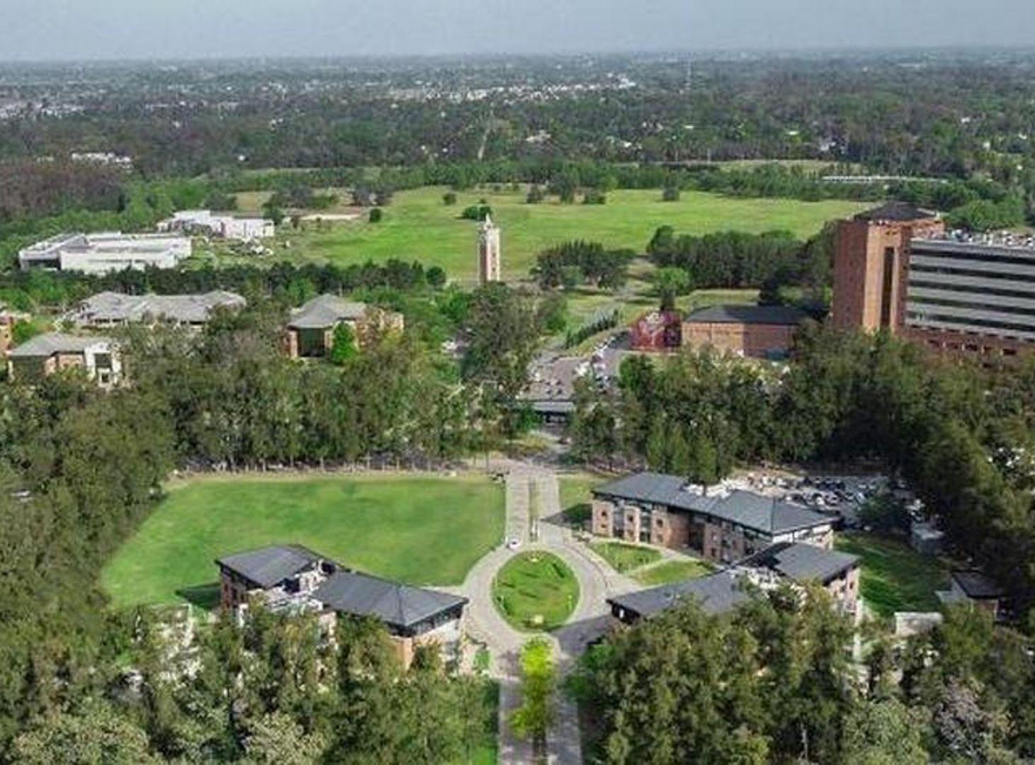 Foto de VENTA INVERSIÓN 3 LOTES LA ARBOLADA HOSP AUSTRAL, imagen 1