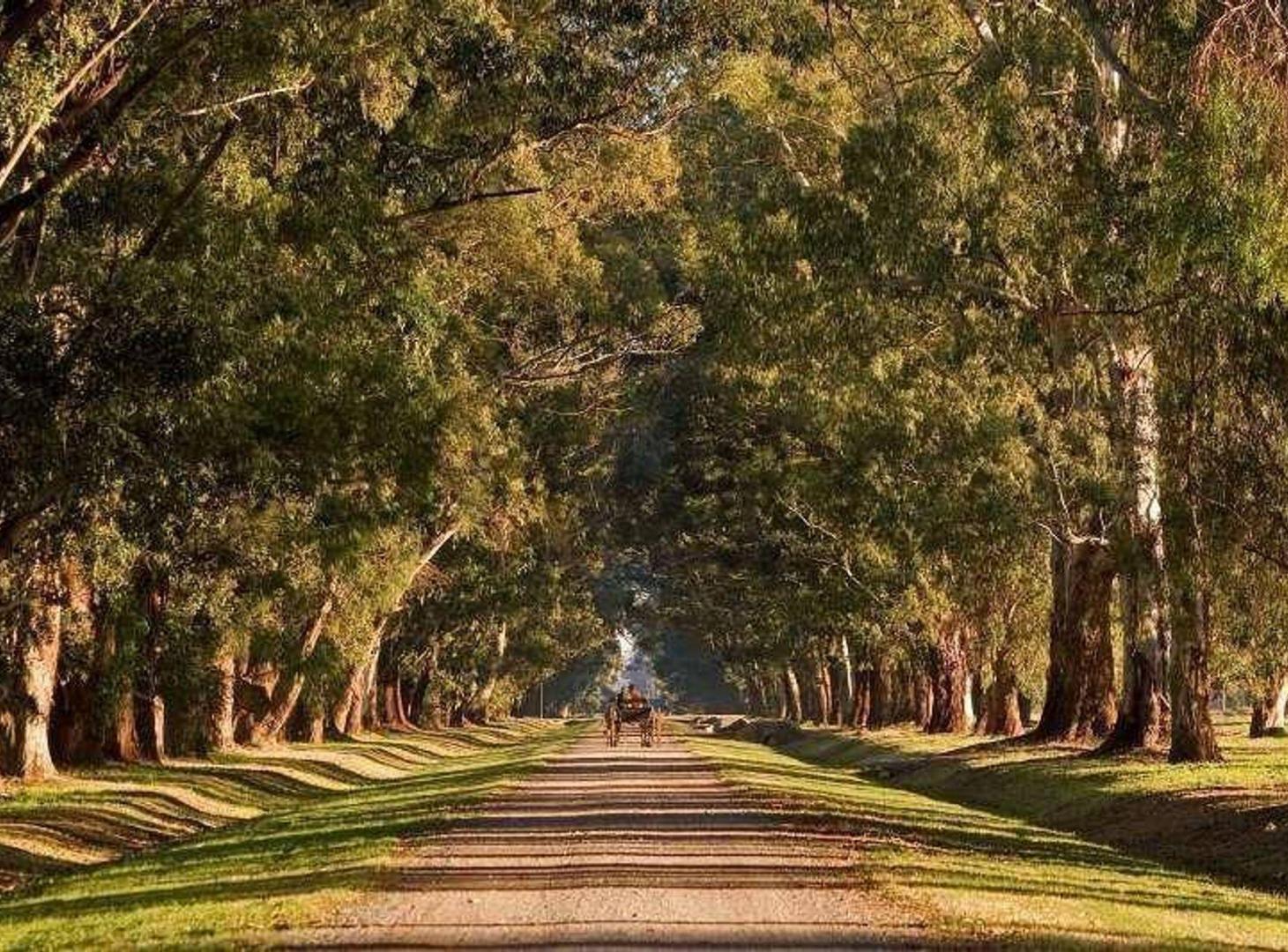 Foto de TERRENO Estancia Villa Maria LA ESPERANZA, imagen 2