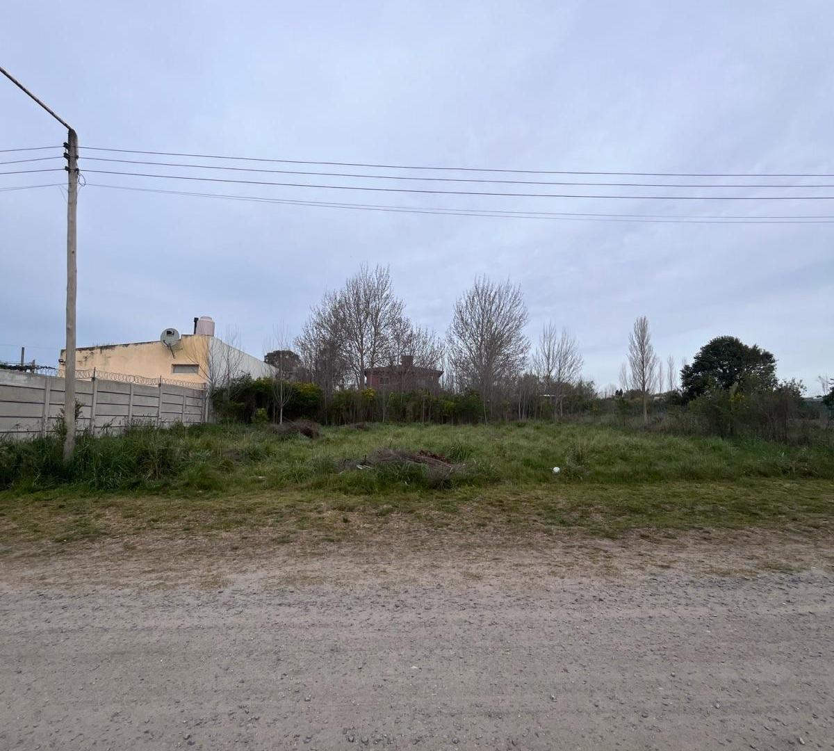 Foto de Terreno - Tandil, imagen 3