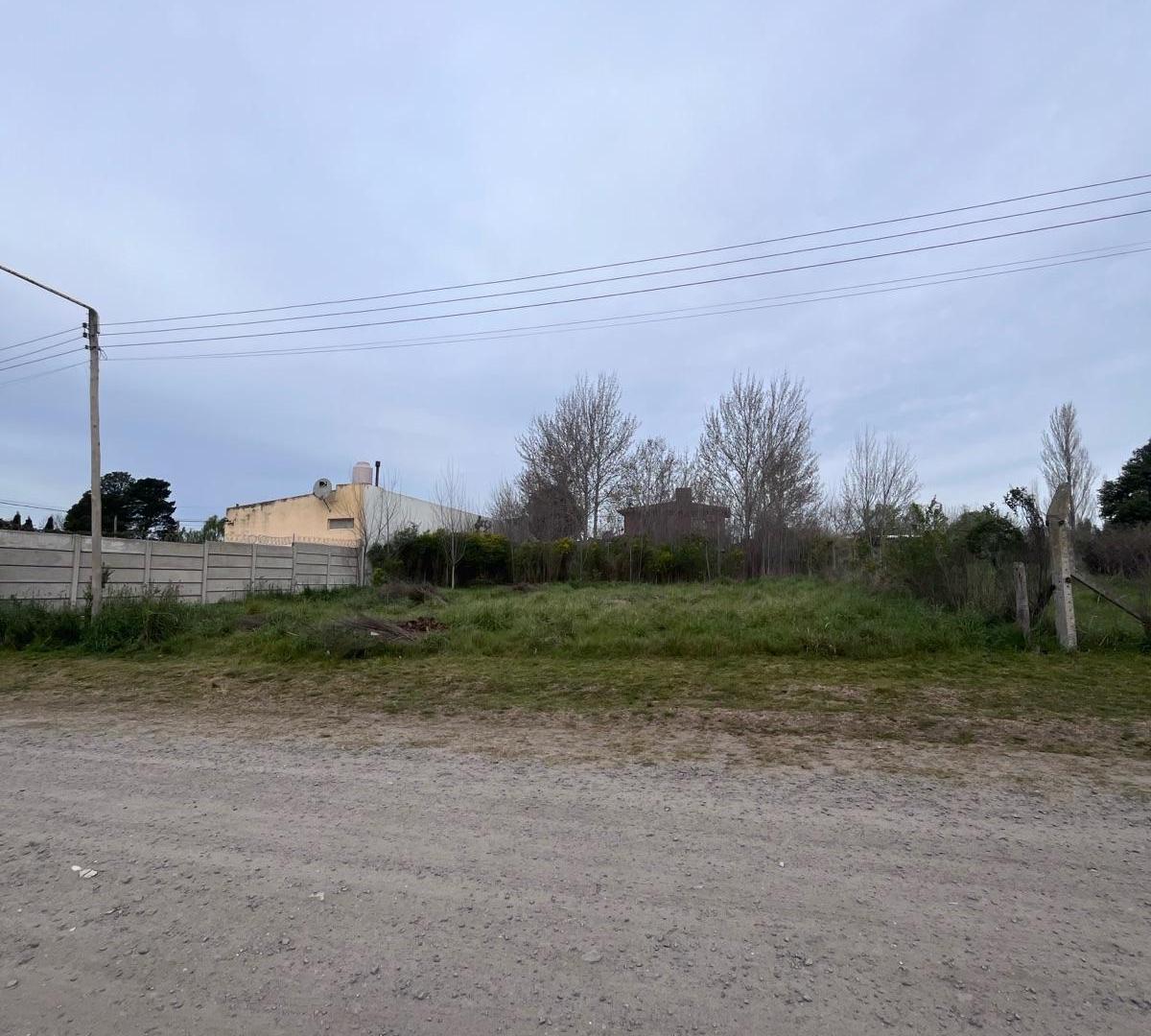 Foto de Terreno - Tandil, imagen 1