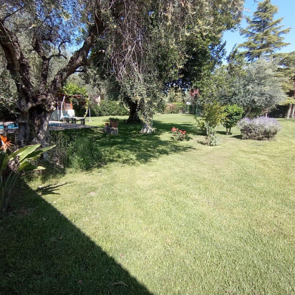 Venta Casa - Condominio Olivar - Bermejo - Guaymallen 4