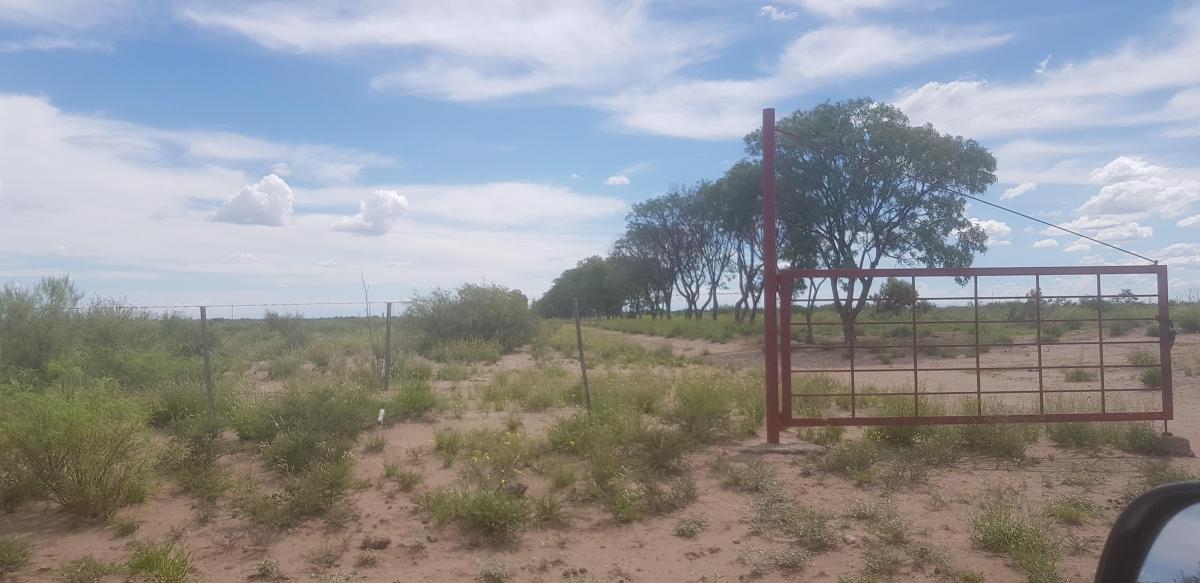 Vende – Finca de 1.300 Has, Ubicada en Las Catitas, Mendoza. 5