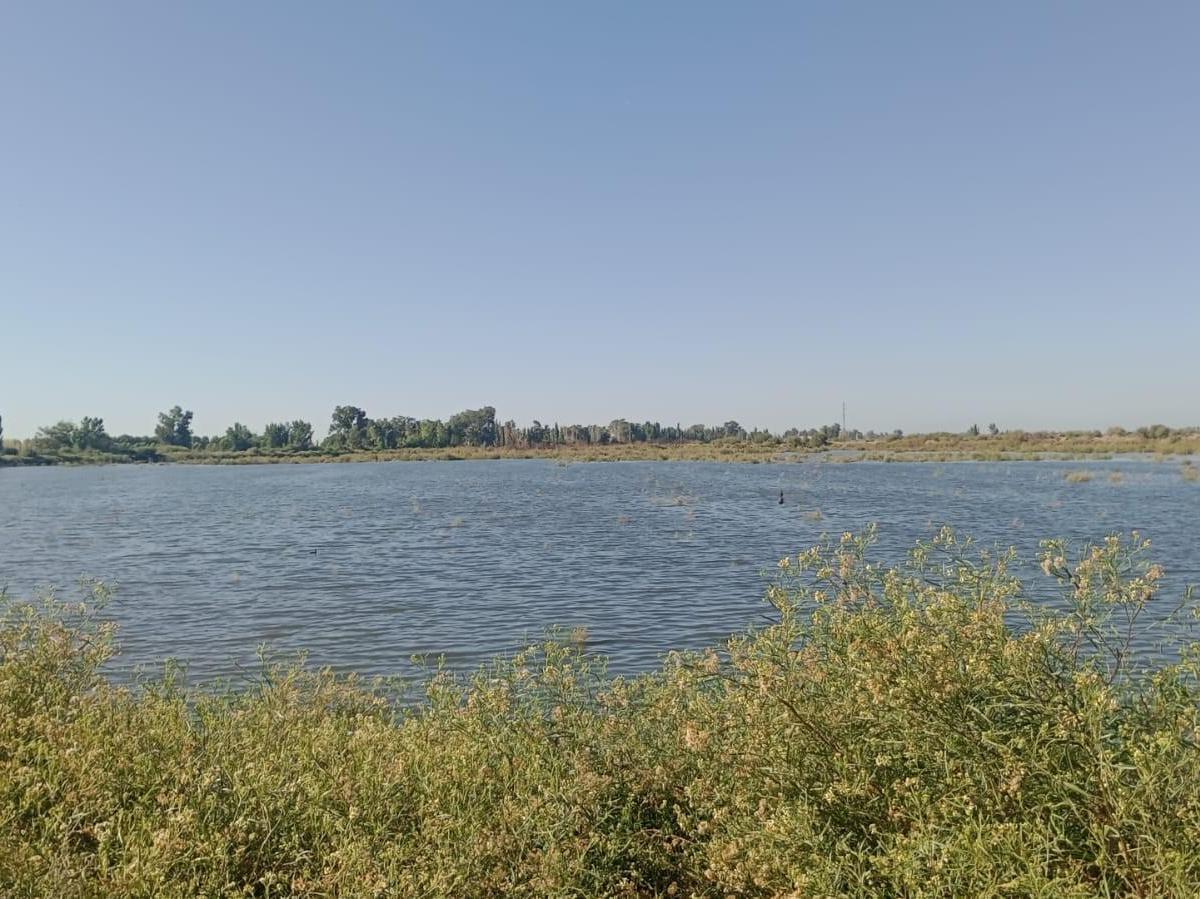 VENDE – FINCA DE 886,38 HECTÁREAS, UBICADAS LAVALLE, MENDOZA