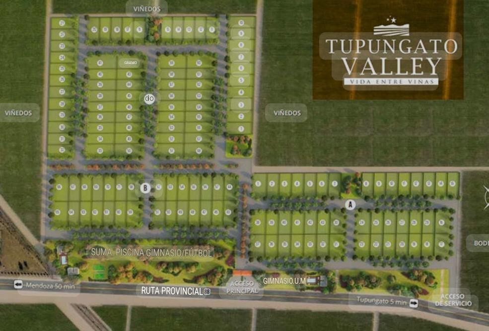 Foto de VENDE LOTES!!! BARRIO PRIVADO TUPUNGATO VALLEY, MENDOZA, imagen 2