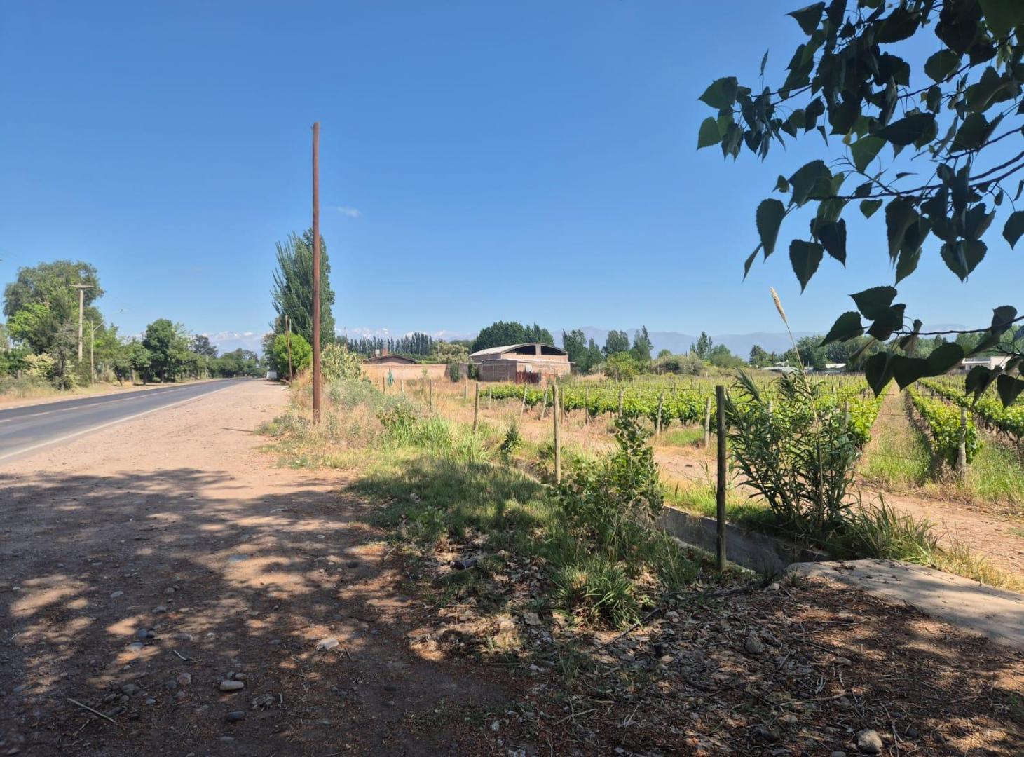 Foto de VENDE TERRENO IDEAL PARA LOTEO EN LUNLUNTA, MAIPÚ, MENDOZA., imagen 4