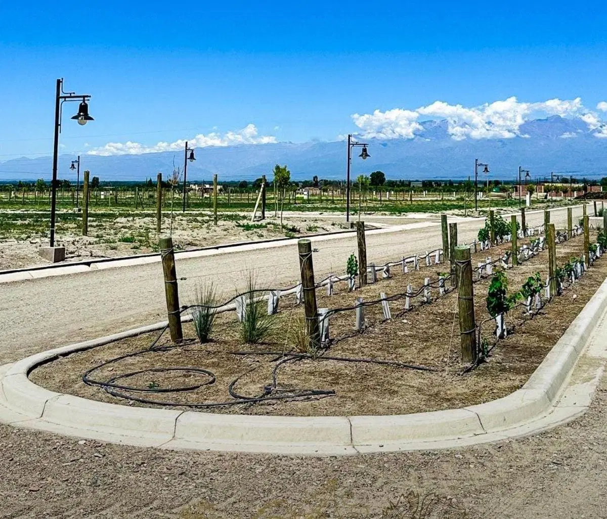 VENDE ESPECTACULAR LOTE!!! en BARRIO PRIVADO TUPUNGATO VALLEY, Ubicado en RP88- Tupungato, Mendoza 4