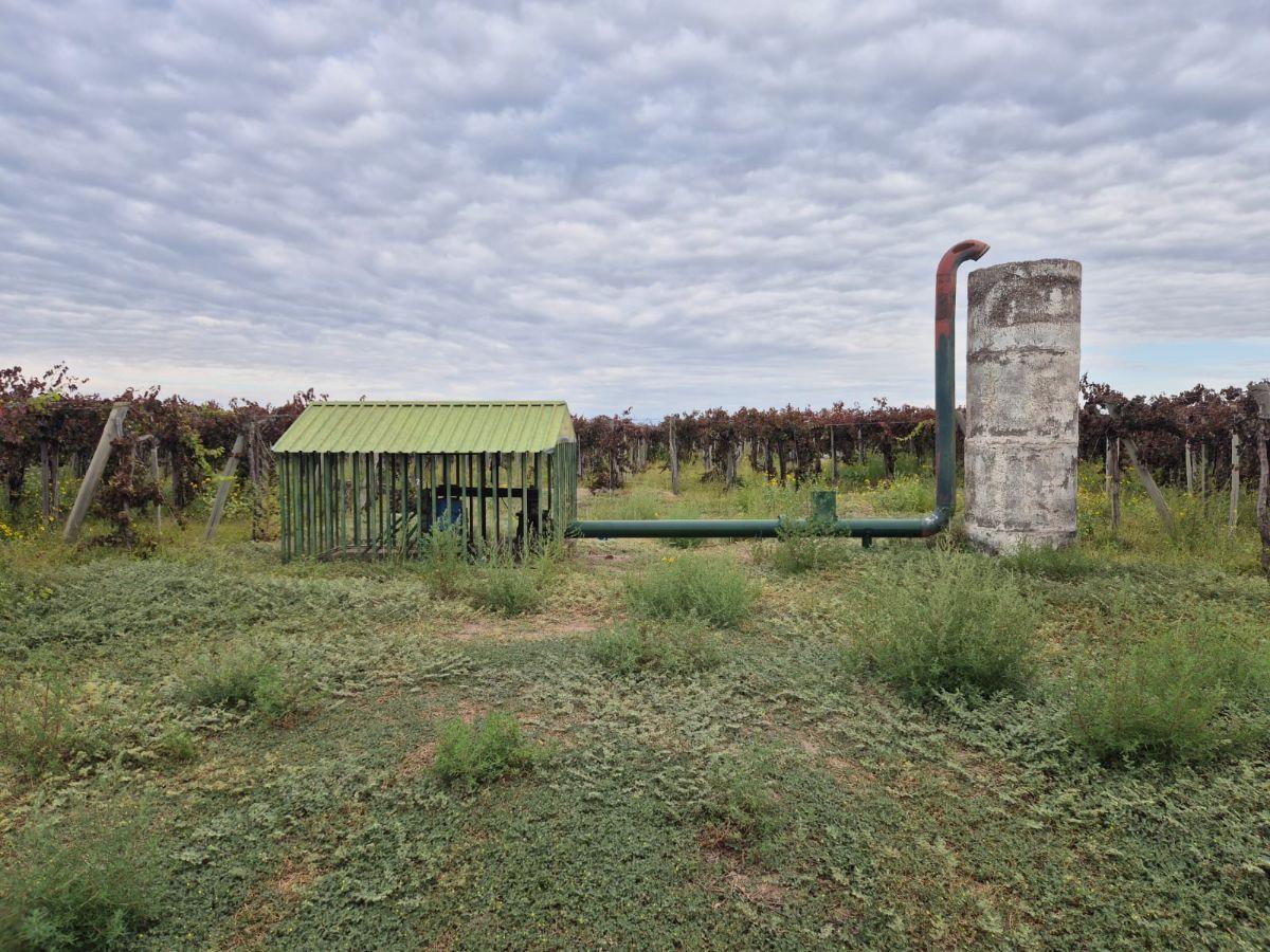 Foto de VENTA CONJUNTA DE 3 FINCAS CONTIGUAS QUE CONFORMAN UNA UNIDAD, imagen 2